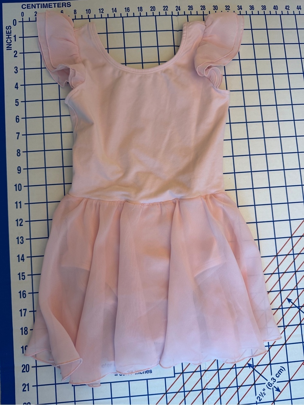 Stelle Pink Chiffon Skirt Ballet Dress with Flutter Sleeves